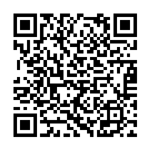 所以他也很少会对王世子的做法太过急迫而去质疑二维码生成