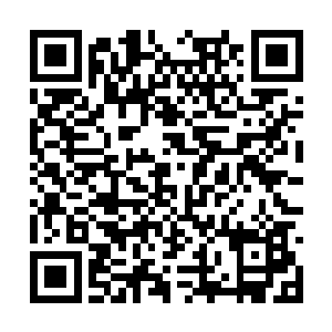所以他也无法像系统所规划的那样冷静的对付撒旦二维码生成