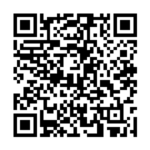 所以他从始至终都不相信九皇子能成为一名好皇帝二维码生成