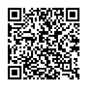 所以他从山上带下来的一万块中品灵石也没花呢二维码生成