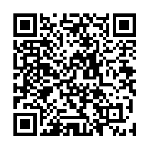 所以他以为许维钧对陈珂只是出于对往日下属的那种关心二维码生成