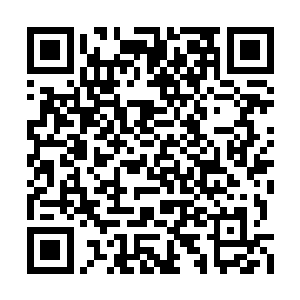 所以他们不会轻易放弃华夏九这个绝世逆天至宝二维码生成