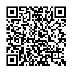 所以他们两个如今根本就不敢去动那条混沌之气二维码生成