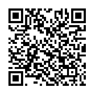 所以他们两个就像两个在进行着马拉松的长跑选手二维码生成