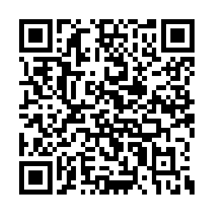 所以他们也花费了很大的精力去围追堵截许琴扬二维码生成