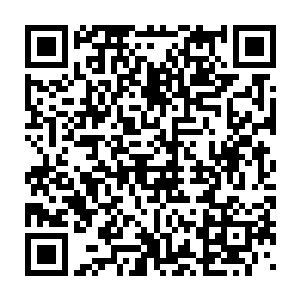 所以他们估计都忘记这些东西对于非植物系仙兽之外的生命的效果了二维码生成