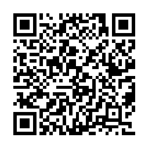 所以他们全都等着赵家踏入自己所在国度的时候二维码生成