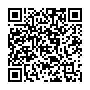 所以他们只能选择从飞行妖兽那里撕开一条口子了二维码生成