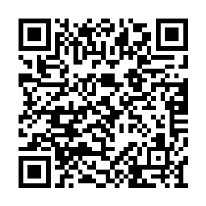 所以他们只需要担心眼前的劫难如何度过就是了二维码生成