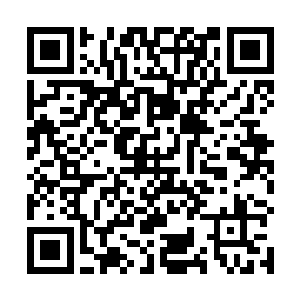 所以他们必须出动一些守护骑士加入河滩城的巡逻队里二维码生成