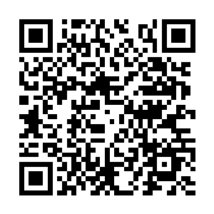 所以他们愿意给出一个珍贵的小队名额收下林中卿二维码生成