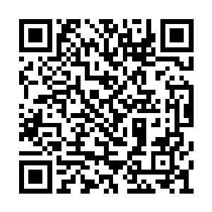 所以他们所拥有的力量大部分也都是金属性之力二维码生成