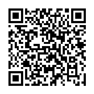 所以他们才敢阻挡这支拥有十一个九环真身的真人队伍二维码生成