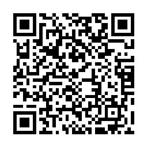 所以他们现在恐怕是唯一知道荣光为什么会站在这里的人二维码生成