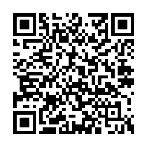 所以他们的精神力都是伴随境界的提升而提升的二维码生成