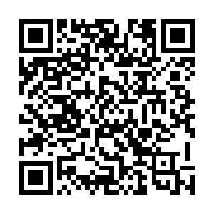 所以他们的魂识也难以捕捉到这以风闪道术而前进的子弹二维码生成