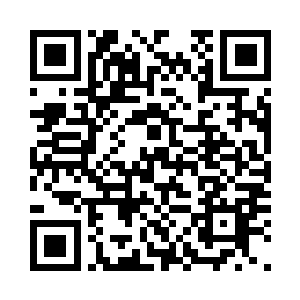 所以他们经常就是在蚁巢里直接开吃二维码生成
