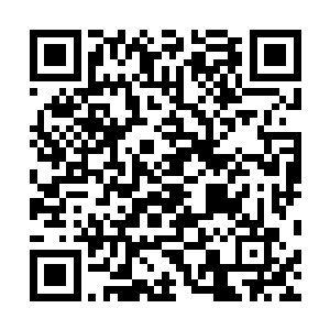 所以他们自然跟着小队目向赵虎跪拜高呼主公的表着忠心二维码生成