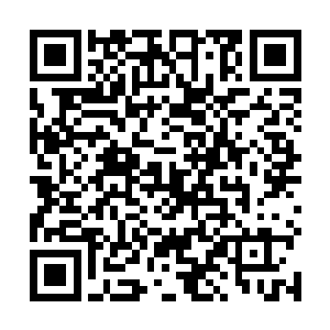 所以他们要利用这个机会好好建立自己身为公婆的威信二维码生成