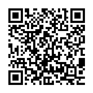 所以他们这些人现在也全都是一个个在拼命的时候都有些怂了二维码生成