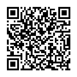 所以他们需要更早的认识这个世界的残酷和无情二维码生成