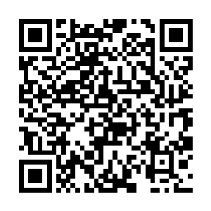 所以他出其不意的绑架了毒玫瑰集团的董事长李若萍二维码生成