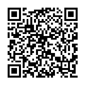所以他只能凭借自己的实力去破除刺客的隐身术二维码生成