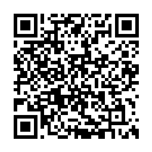 所以他在许紫烟刚刚将目光落在祭坛之上的时候二维码生成