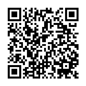 所以他实在是不想为了眼前的这个女人而多费脑筋二维码生成