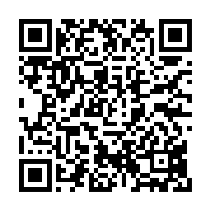 所以他宼文白哪怕明知道是死也要硬着头皮上阵二维码生成