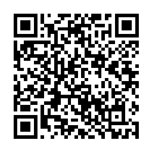 所以他恨恨不已的将自己那即将挥出的刀给收了起来二维码生成