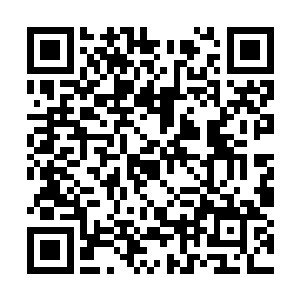 所以他才有这种胆量把神魂力量全都用来培育种子二维码生成