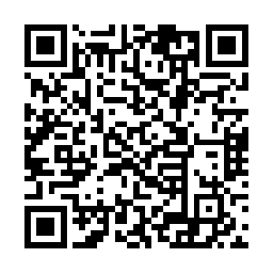 所以他打算过完了春节就先用这个修缮好的院子开业二维码生成