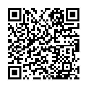 所以他挥斩向流光虎甲虫的黑色镰刀便这么停在了半途二维码生成