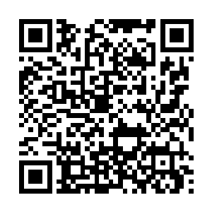 所以他毫不犹豫的把机头对准没有敌机的方向全力加速二维码生成