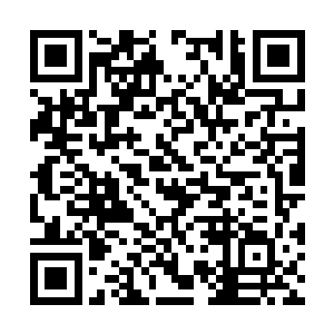 所以他没有事先汇报卢向东被双规的事情也很正常二维码生成