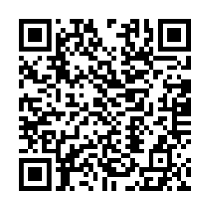 所以他现在也是在内心之中重新定位面前的这个天候夜二维码生成