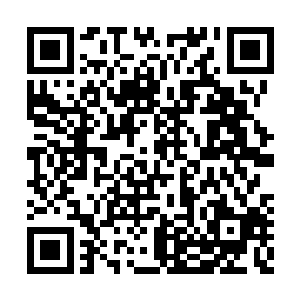 所以他现在宁可自己拼搏壮大华锐农业种植公司二维码生成