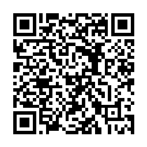 所以他认为给这两名南方修行者救治的人应该年龄颇大二维码生成