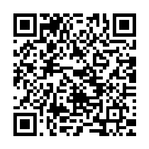 所以他这个三婶每天这个时候必定出来到旁边的佳肴店卖猪头二维码生成