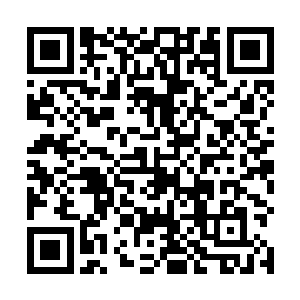 所以他释放的世界之力毫不停滞地轰击在巨蟹的前行上二维码生成