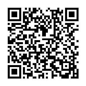 所以他需要策划一次人为的世代交替――他必须走二维码生成
