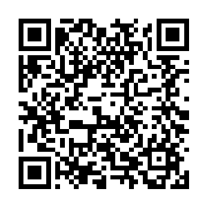 所以他需要联合迪克来确保两人的位置都稳如泰山二维码生成