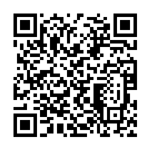 所以任何一点点的冒险对她来说都会被放大无数倍二维码生成