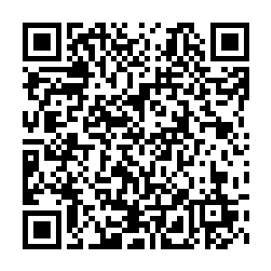 所以何塞·阿莱玛尼之所以来这里应聘纯粹是抱着死马当活马医的态度了二维码生成