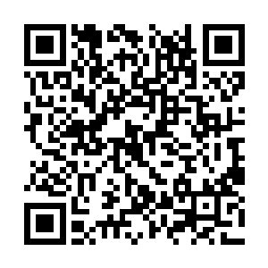 所以作为统筹人族各路大军的总府司的实际掌舵人二维码生成