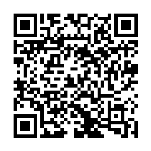 所以你不可能看到不符合政治正确的影片获得最佳影片二维码生成