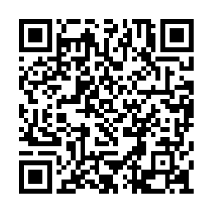 所以你也不会知道季疏云对你是这般绝情的对吧二维码生成