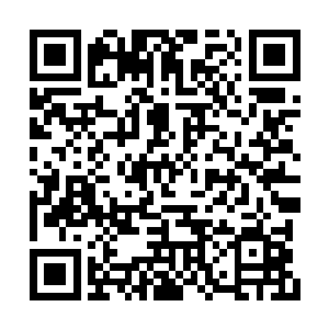 所以你也无需像其余强者那般去对神器进行炼化二维码生成