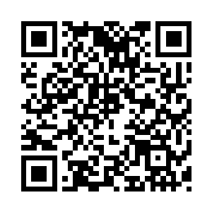 所以你以前尊雪灵为主人并不算是誓言咯二维码生成